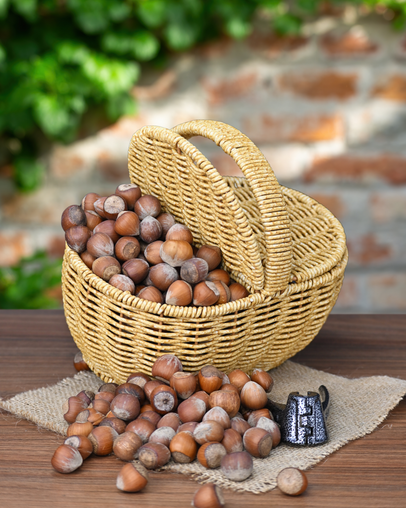 Kabuklu Fındık (Foça Fındık)