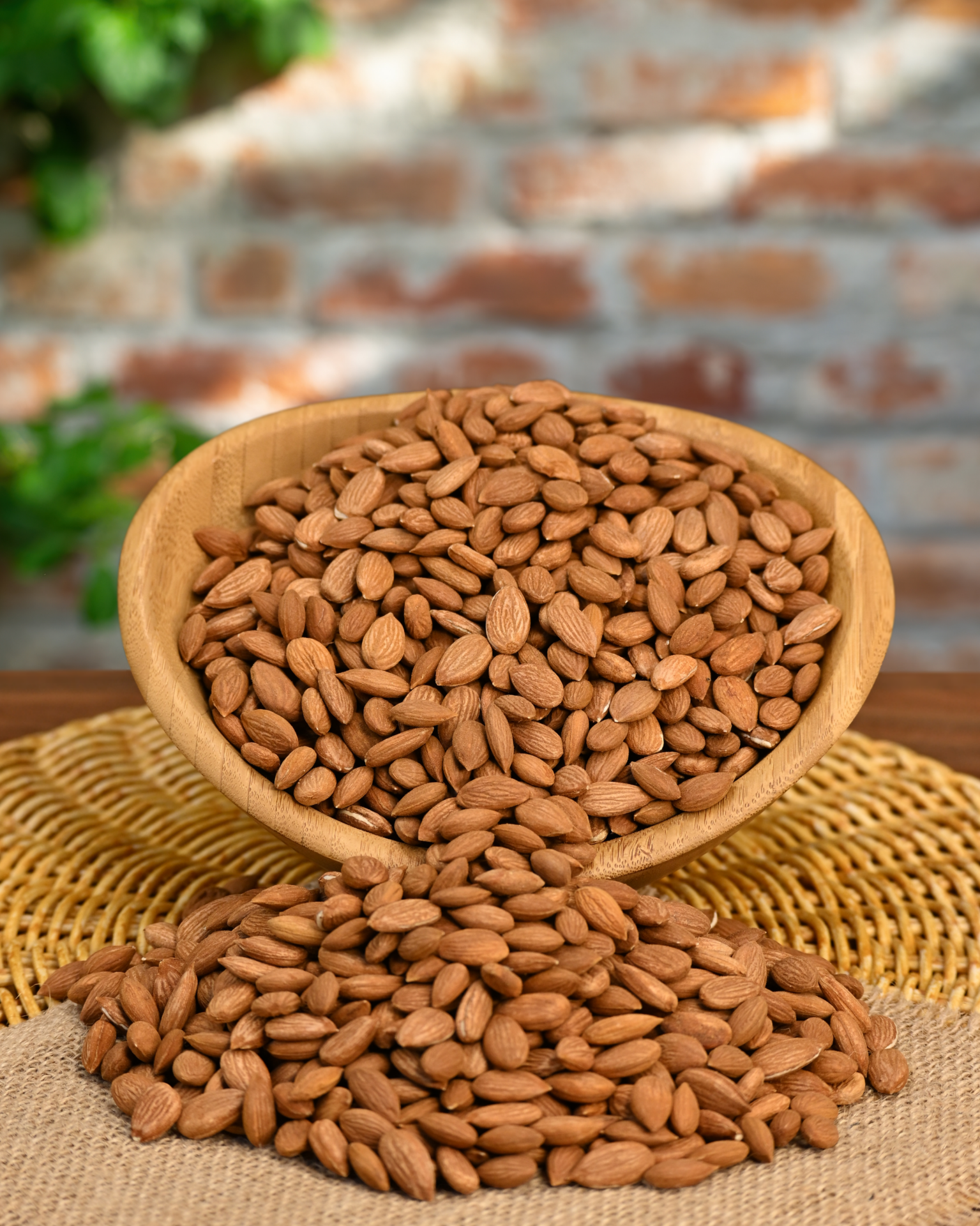 Kayısı Çekirdeği Gün Kurusu