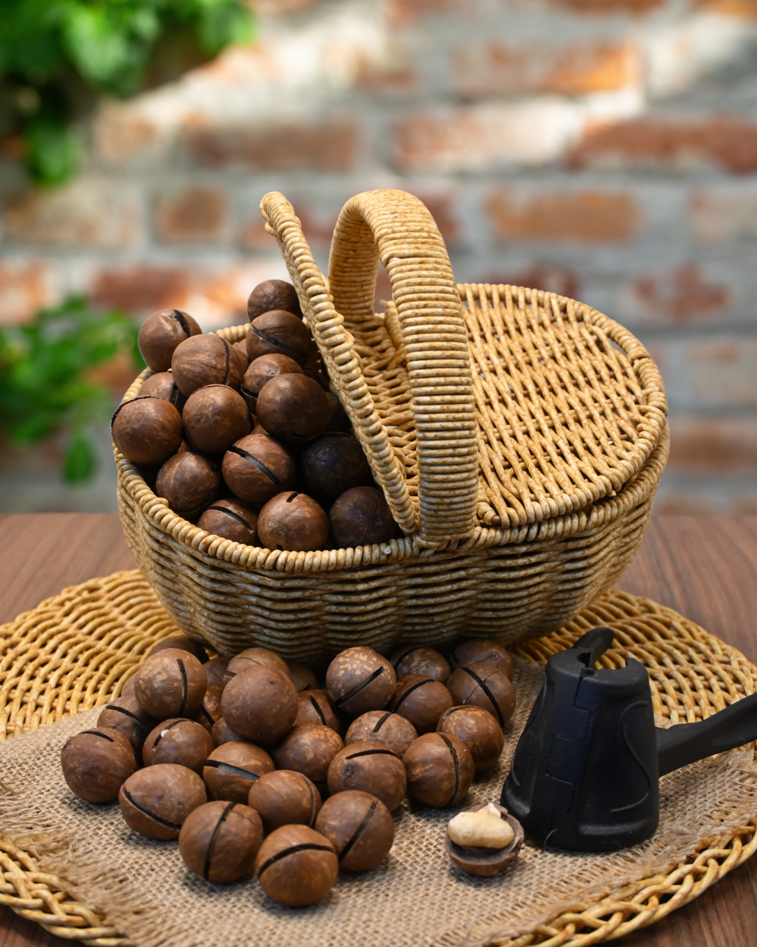 Macadamia (Makademya)  Fındığı Kabuklu Aromalı