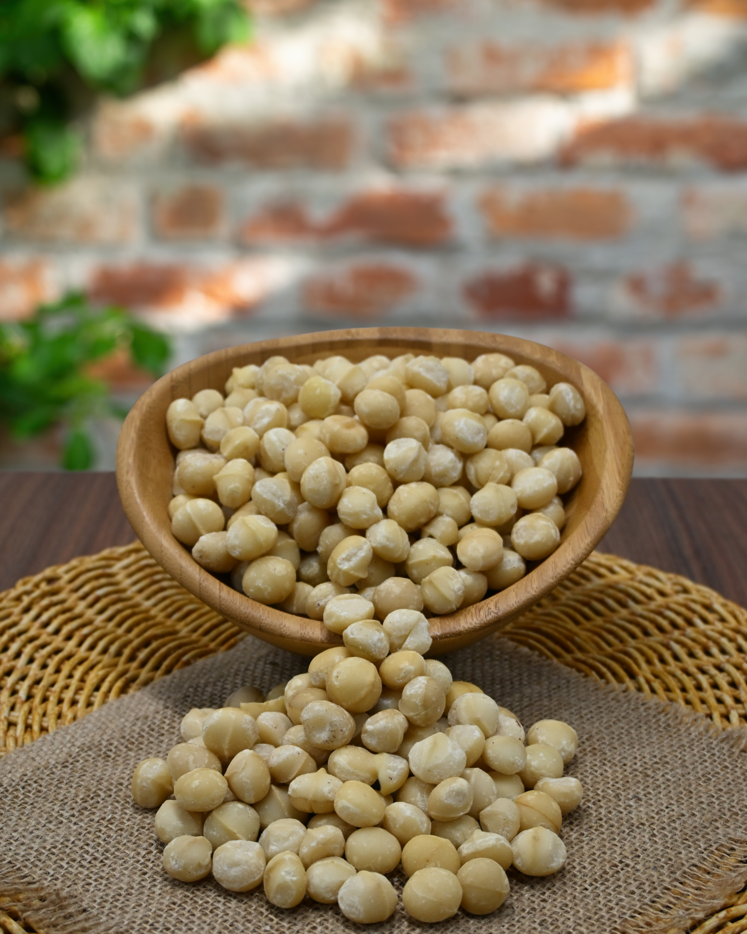 Makadamia Fındığı