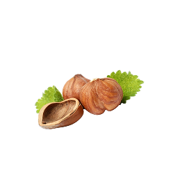 Yeni Ürünler